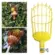 Colhedor de Frutas Cabo Extensor Aluminio 6 Metros e Luva Black